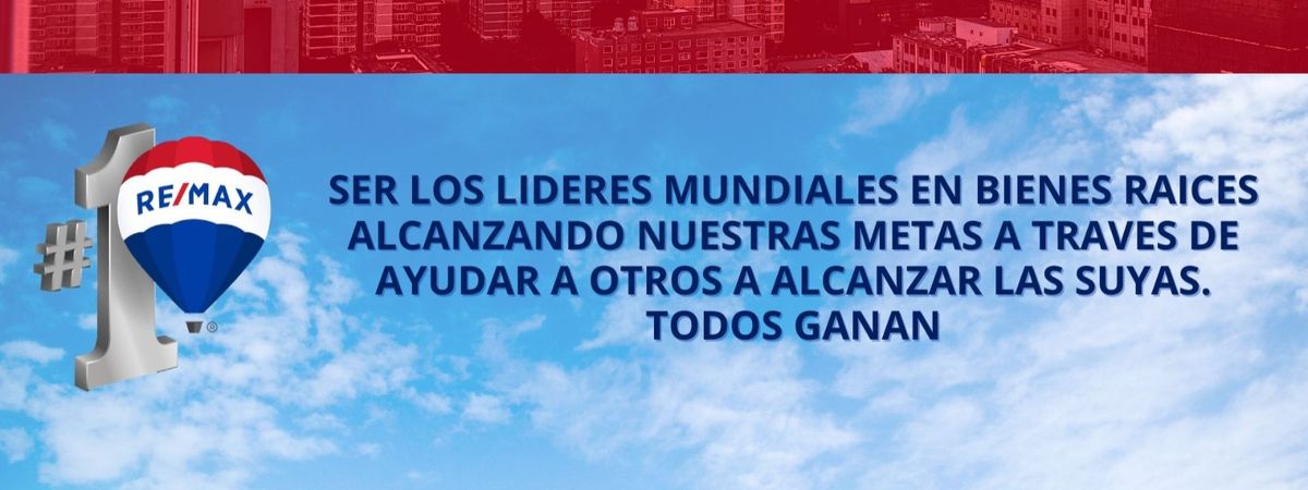 REMAX SINERGY