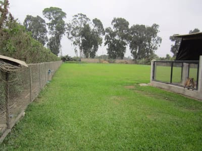 Venta de Terreno Comercial en Lurin