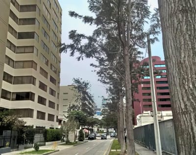 Oferta Duplex 600 m2 San Isidro