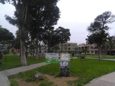 Ocasion Casa a Precio de Terreno Urb Ingenieria, Cerca a Parque