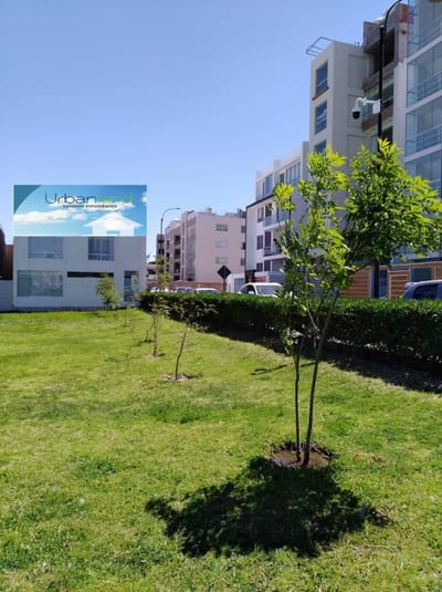 Vendo Gran Departamento en Estreno Zona Exclusiva de Challapampa Cerro Colorado