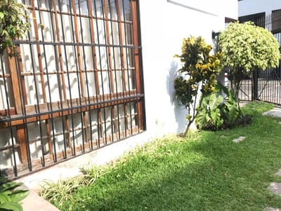 Precioso Flat de Caracter en El Corazon de Miraflores