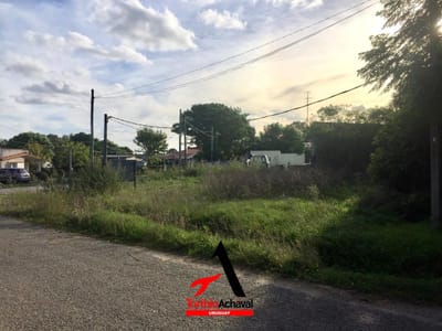 25 de Agosto - Colonia Valdense