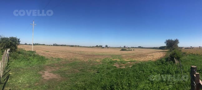 Campo en Martin Chico, buena tierra productiva, zona en desarrollo