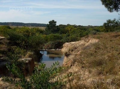 Terreno - La Pedrera