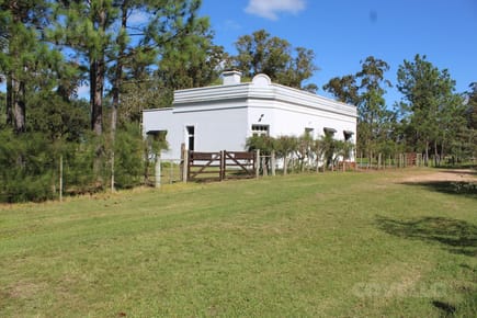 Chacra - José Ignacio