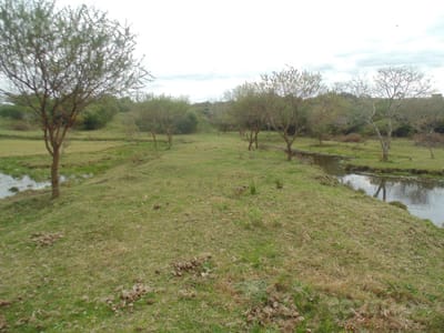 Chacra en Punta Gorda, oportunidad