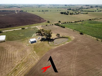 Venta Chacra Colonia Cosmopolita, 13,7 has, Colonia