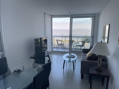 Hermoso apartamento en venta con vista al rio.