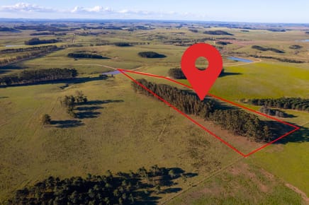 Venta Chacra 5 Hectáreas, Altos de José Ignacio