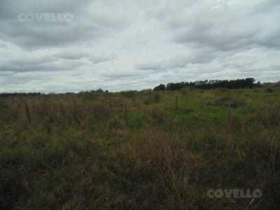Terreno en Carmelo, zona de Colonia Estrella, buena ubicación