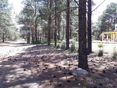 Terreno, barrio cerrado, seguridad, puerto, playa
