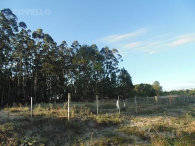 Venta, Terreno de 8 Ha hectáreas en Carmelo.