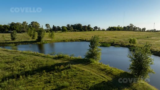Terreno - Real de San Carlos