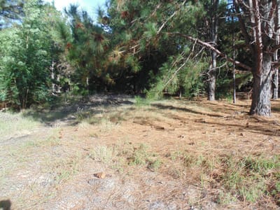 Terreno en venta en Balneario Zagarzazú Carmelo