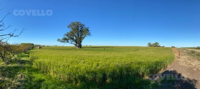 Campo con visto al rio de La Plata, buena tierra productiva.