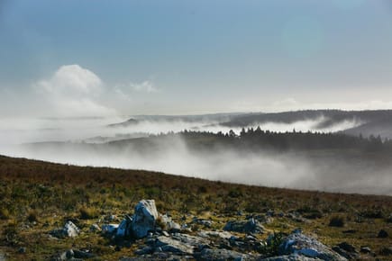 Venta de pintoresca chacra de 5 has. en las Sierras de Rocha