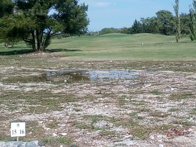 Terreno en venta en Real de San Carlos Colonia del Sacramento