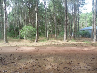 Terreno, Balneario El Faro, arbolado, puerto, zona de deportes, piscina, playa