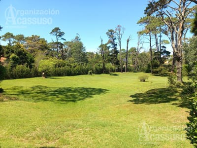 Punta del Este - terreno Venta - piscina - barbacoa