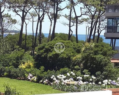 Alquiler apartamento 1 dormitorio y medio Punta del Este