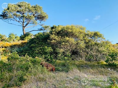 Venta Terreno Rincón del Indio Punta del Este
