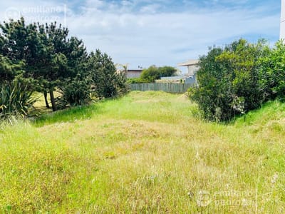 Venta Terreno Montoya, Punta del Este