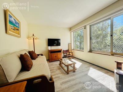 Alquiler Apartamento 1 dormitorio, Peninsula, Punta del Este