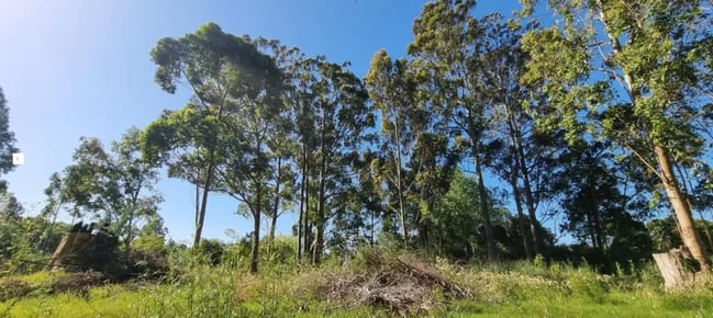 Terreno  de más de 2000 metros en  Golf Punta del Este