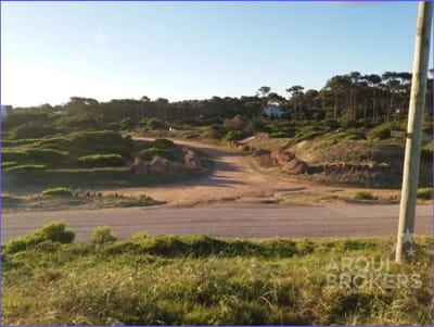 Terreno en  Chihuahua ubicado a 80 metros de la playa