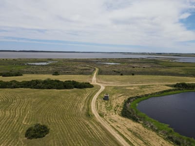 Chacra en Las Coronillas José Ignacio
