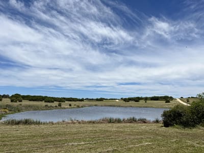 Chacra en Las Coronillas José Ignacio