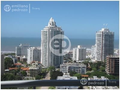 Piso alto en Roosevelt