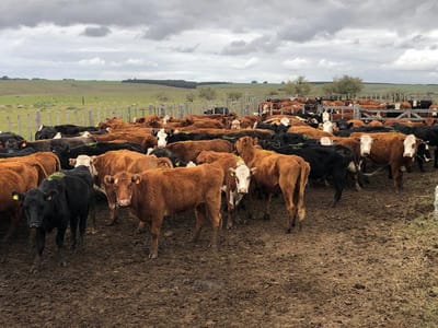 San Jose - Ruta 23, entre Mal Abrigo e Ismael Cortinas