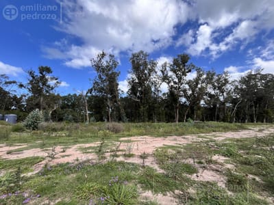 Venta terreno en barrio privado Punta Ballena 1096 m2