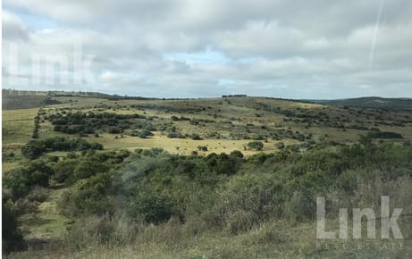 Campo - Treinta y Tres