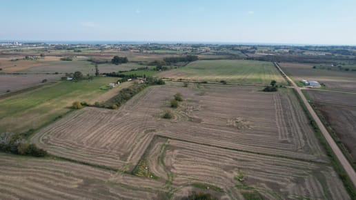 Campo productivo de 8.5 hect en Colonia