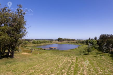 Venta Campo 75 hectáreas con Casa, Ruta 104