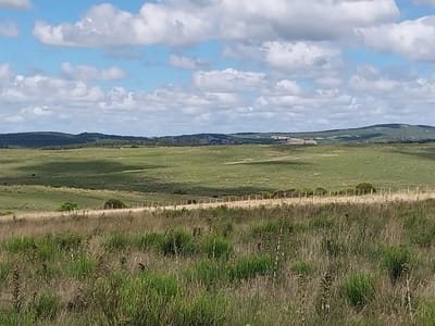 Excelente Campo de 60 Hectareas en Pueblo Garzón - TM5820020