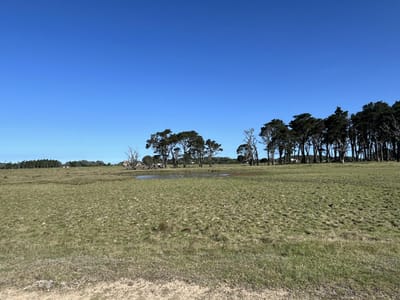 5,9 ha La Rinconada P. 22818