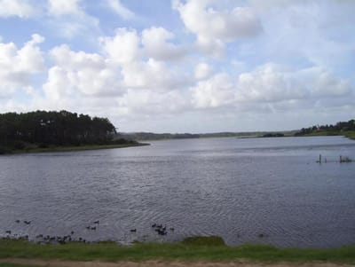 piedras del chileno