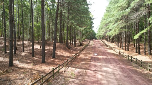 Chacra en exclusivo barrio Pinares del Hotel (Carmelo)