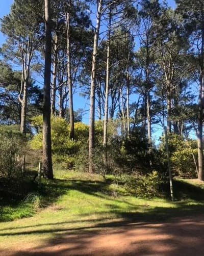 Terreno - Punta Ballena