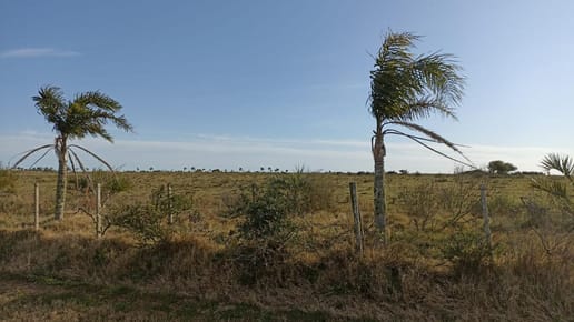 Chacra - Garzon. 12.5 hectáreas