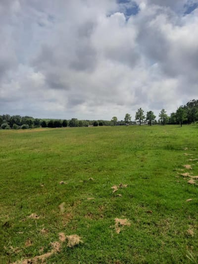 Land - Maldonado