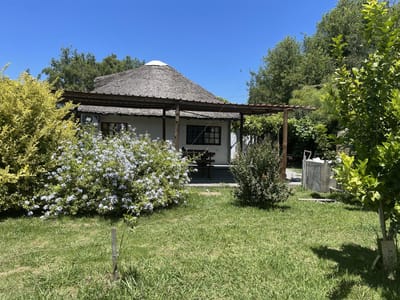 Chacra en  Colonia