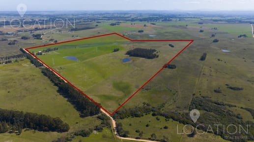 Venta Campo 125 Hectáreas, José Ignacio