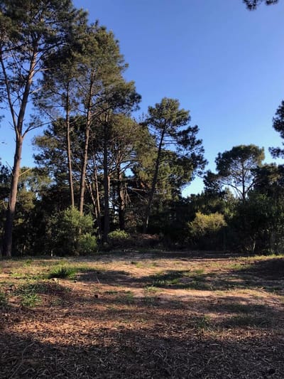 Terreno en club del lago. 1471 m2