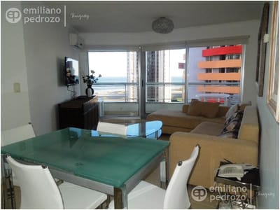 venta apartamento 2 dormitorios playa brava punta del este