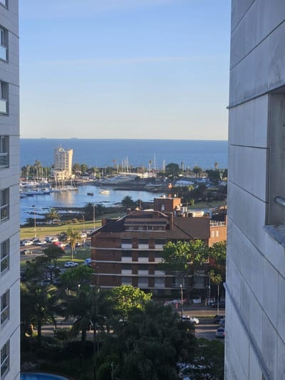 Proximo Rambla Puerto del Buceo y WTC, vista al mar, 80 m2 , terraza, gge , gimnasio, barbacoa !!